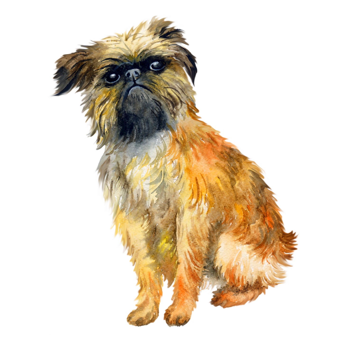 Brussels Griffon Note Cards Set of 10 Blank Note Cards A2