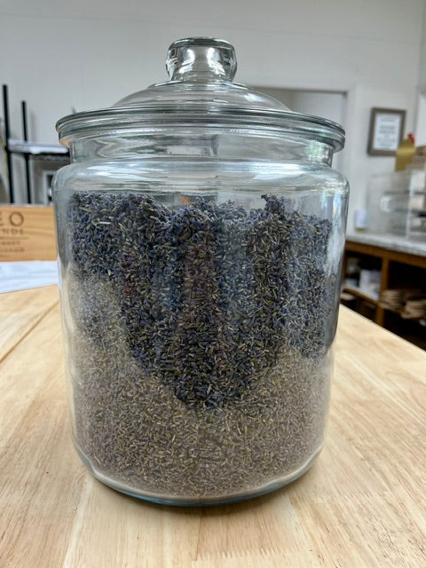 Fresh French Lavender