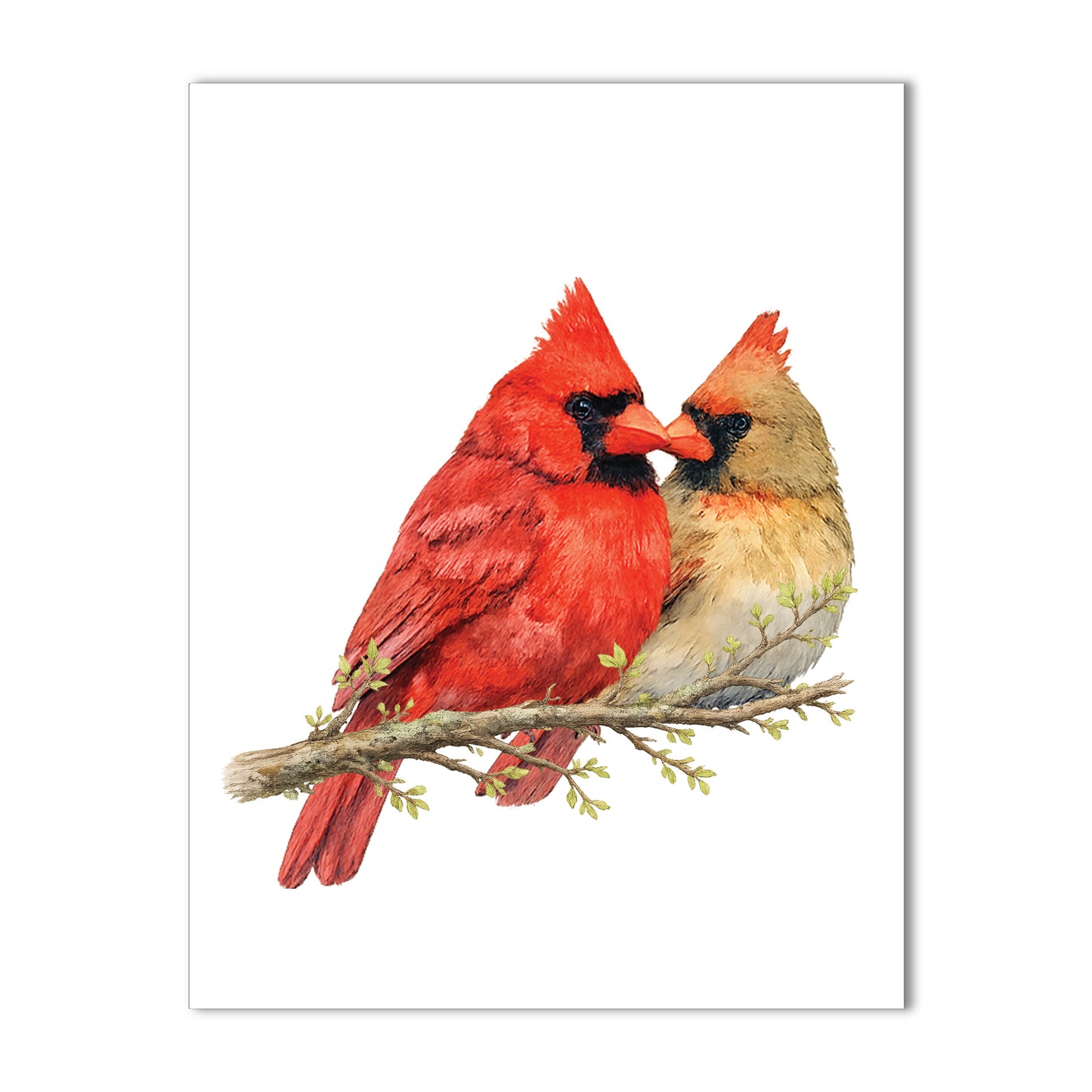 Cardinals Watercolor Birds - Blank Cards with Envelopes 4.25" x 5.5"