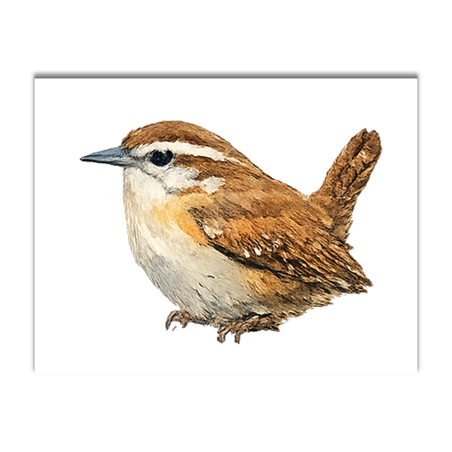 Watercolor Birds - Blank Cards with Envelopes 4.25" x 5.5"