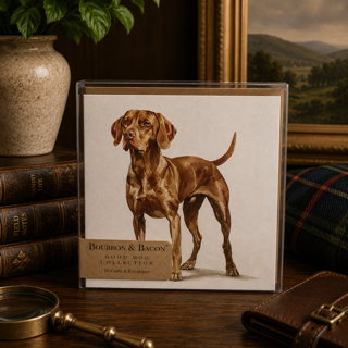 Vizsla, Note Cards Blank Boxed Set of 10