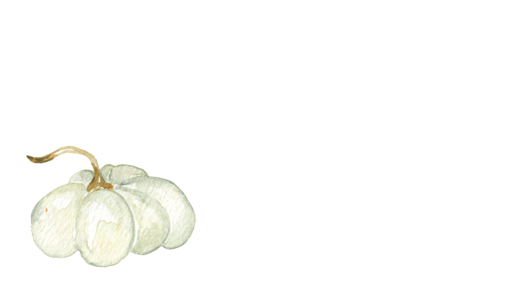 Illustration of a green white pumpkin on a white background