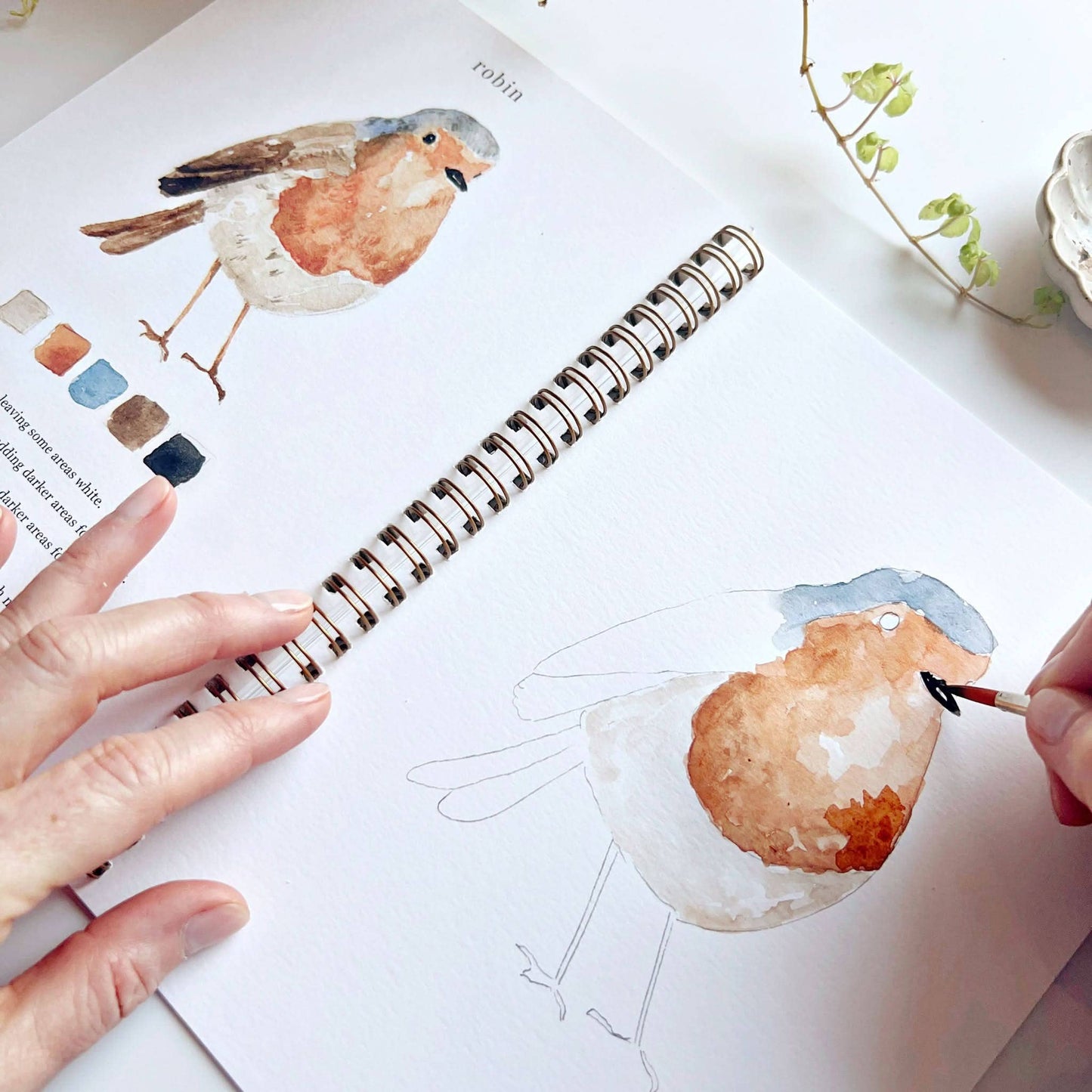 Emily Lex Birds Watercolor Workbook