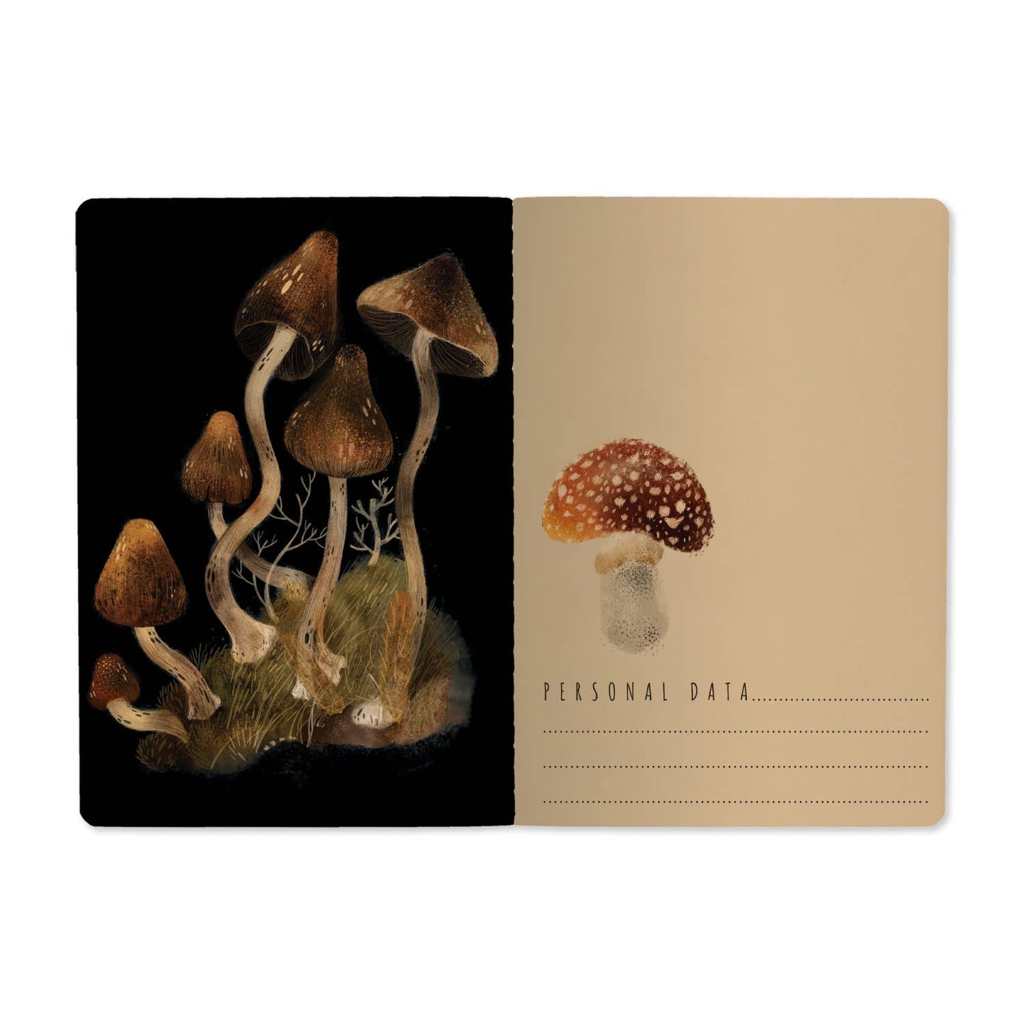 A-5 Notebook- Forest Mushrooms