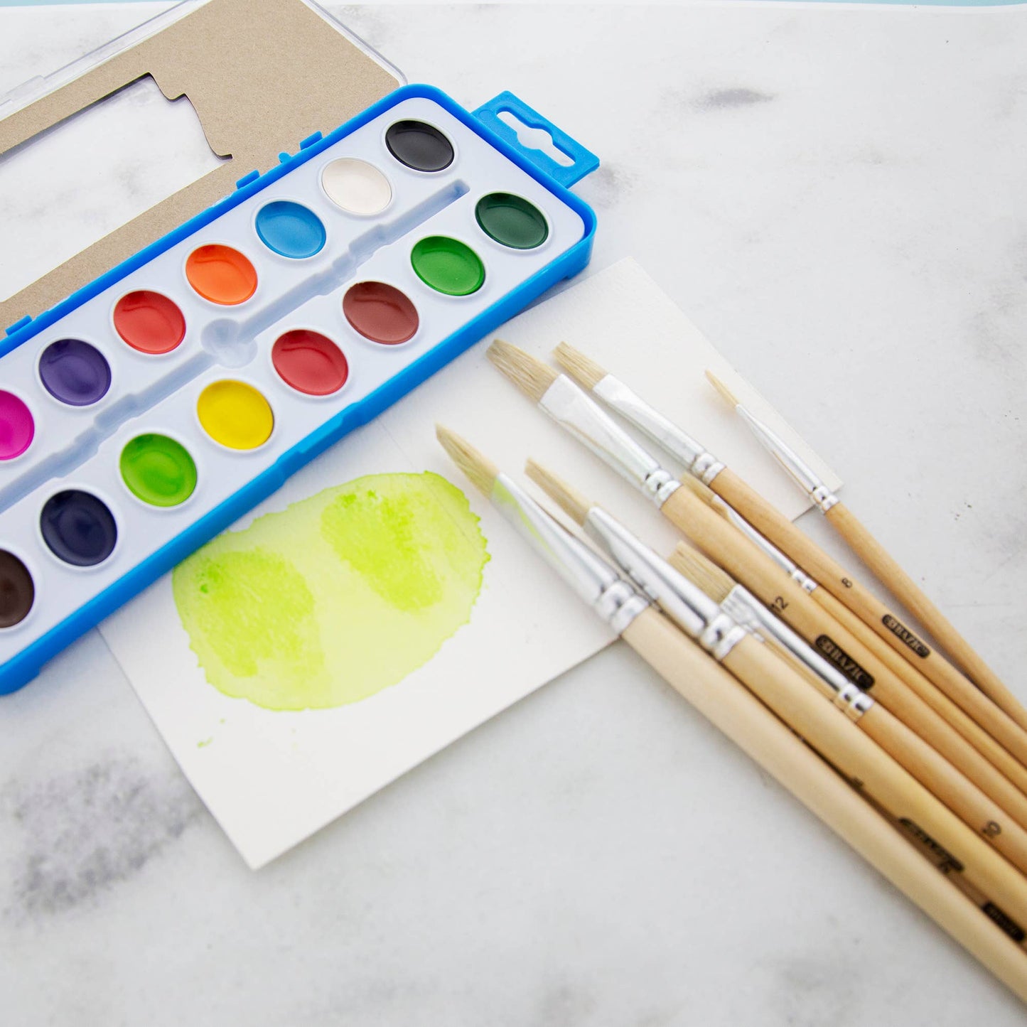 Paint Brush Flat Natural Bristle (9/Pack)