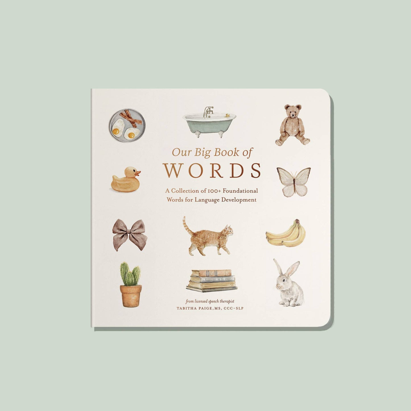 Our Big Book of Words (Board Book)