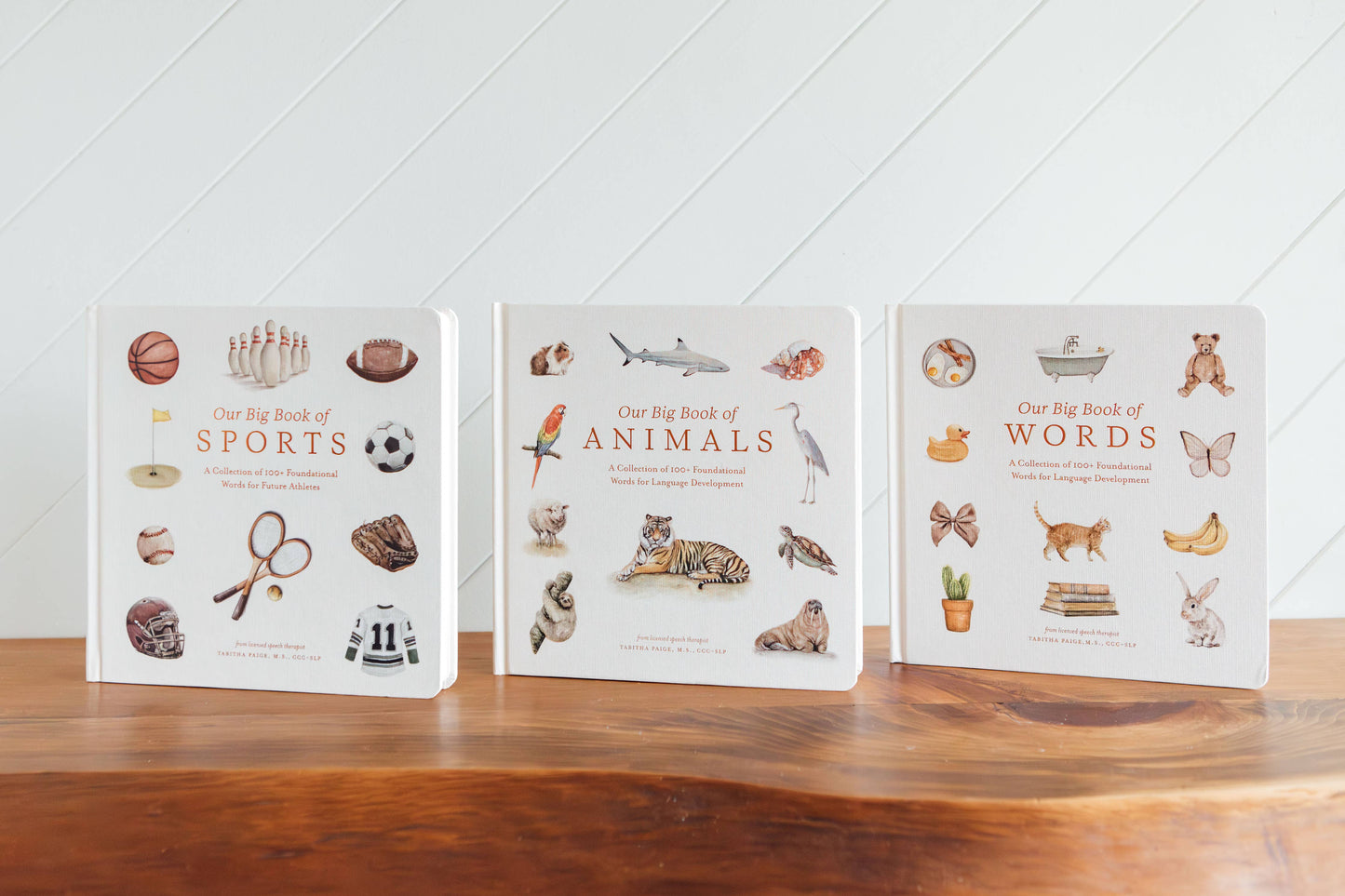 Our Big Book of Words (Board Book)