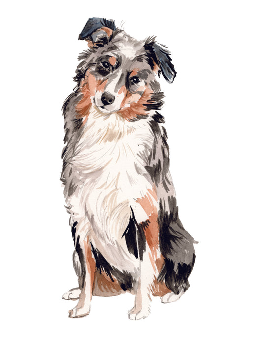 Artistic illustration of a dog with a white, black, and brown coat on a white background