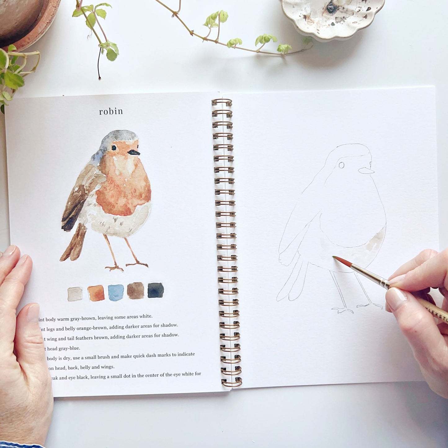 Emily Lex Birds Watercolor Workbook