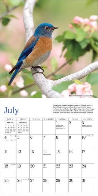 Audubon Bluebirds Mini Wall Calendar 2027