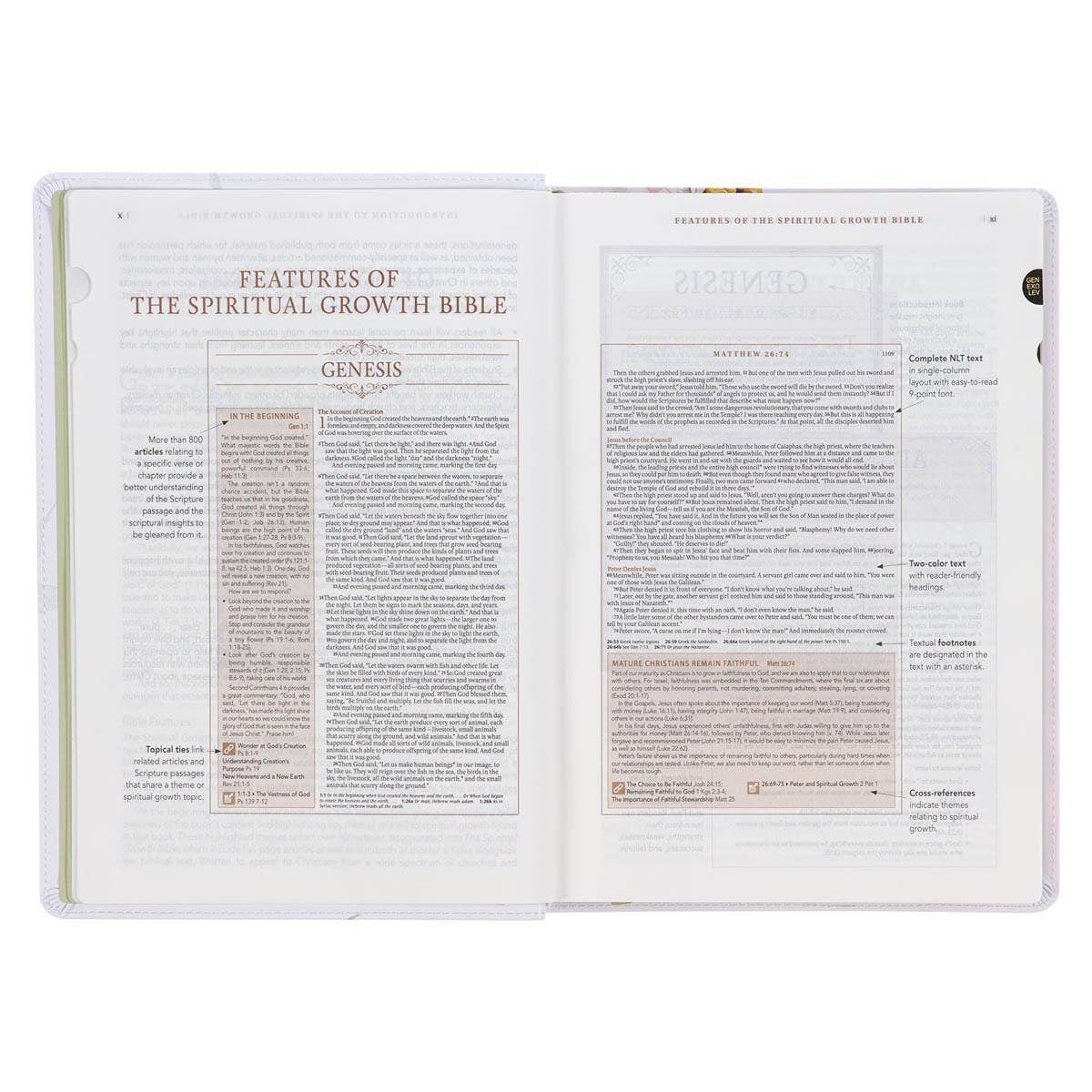 Cream Floral Spiritual Growth Bible, New Living Translation