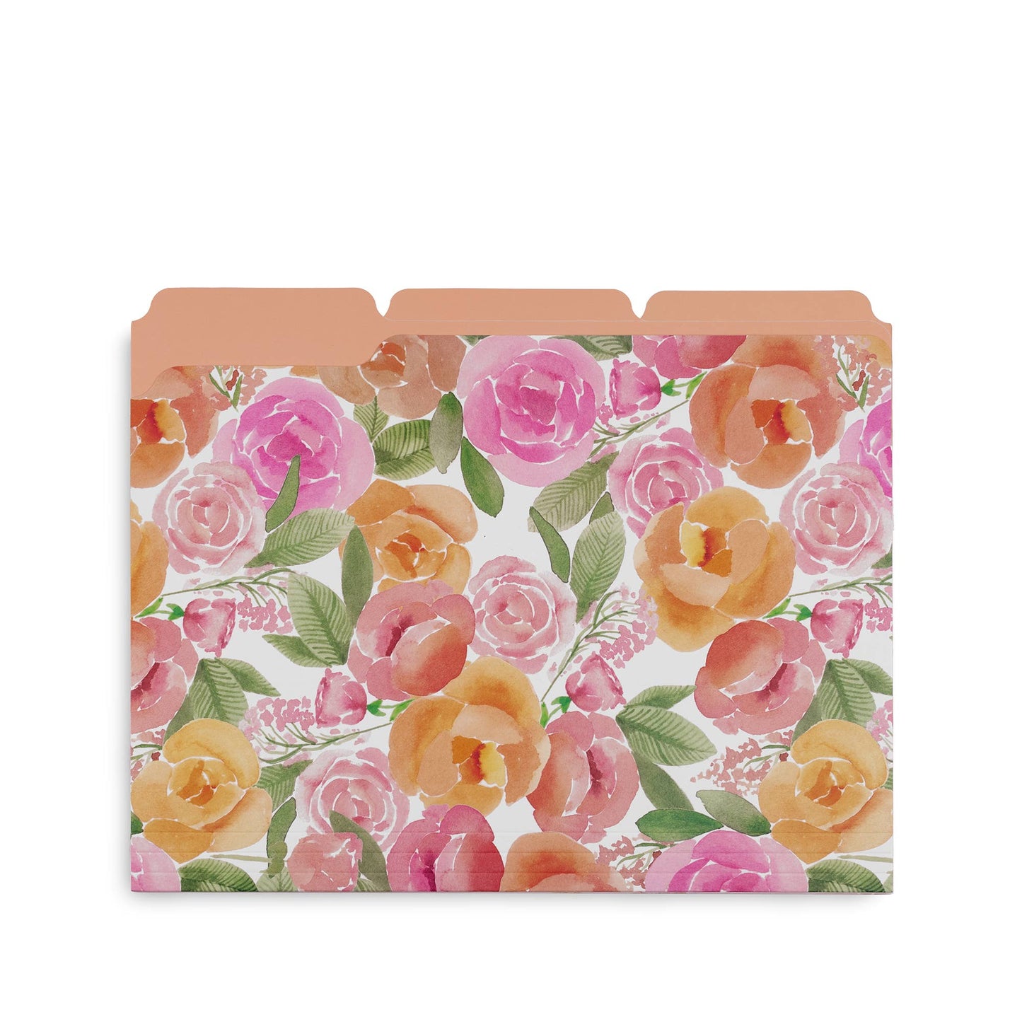 File Folders, Full Posey/Scattered Posey/Bold Floral