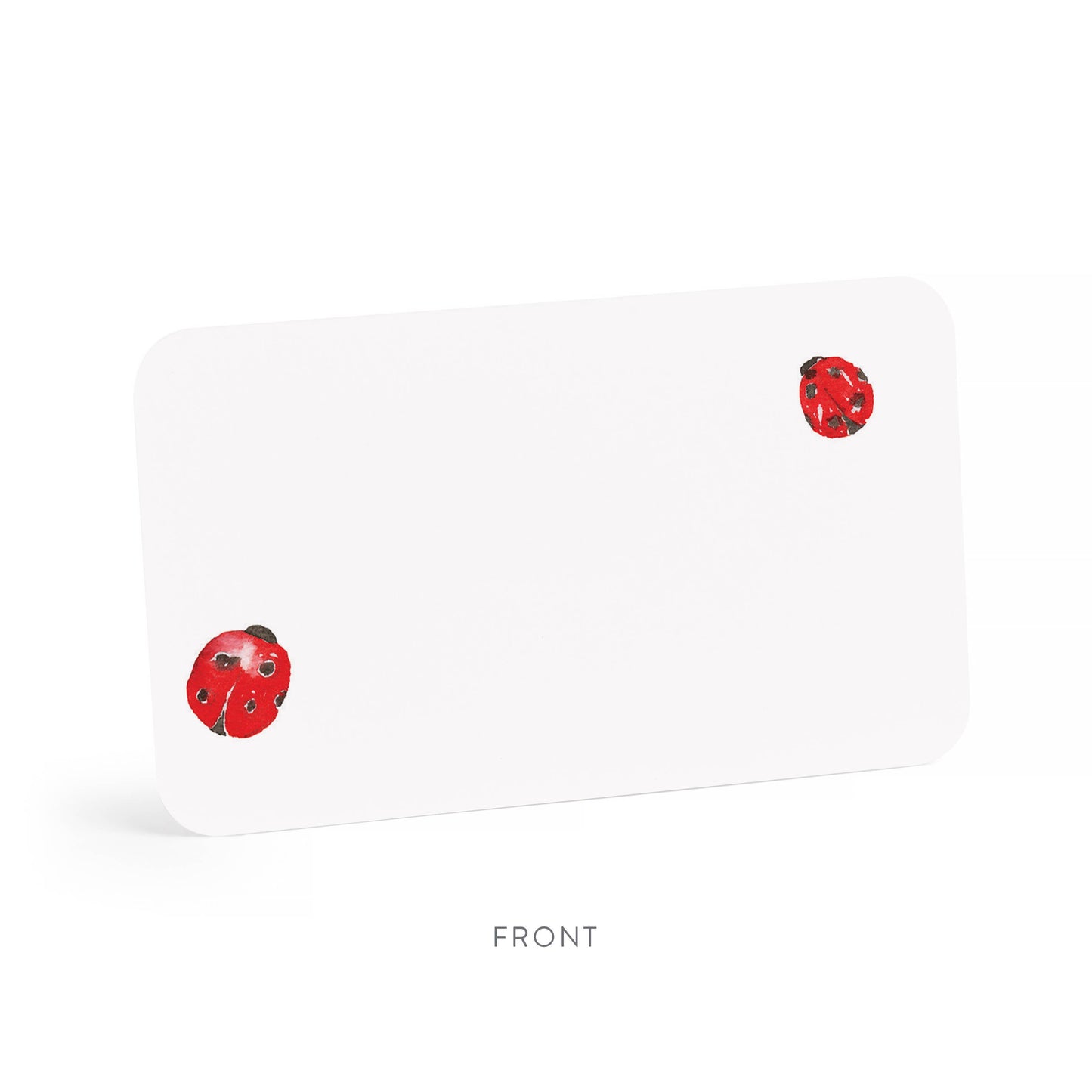 Ladybugs Little Notes® NEW 55 Count