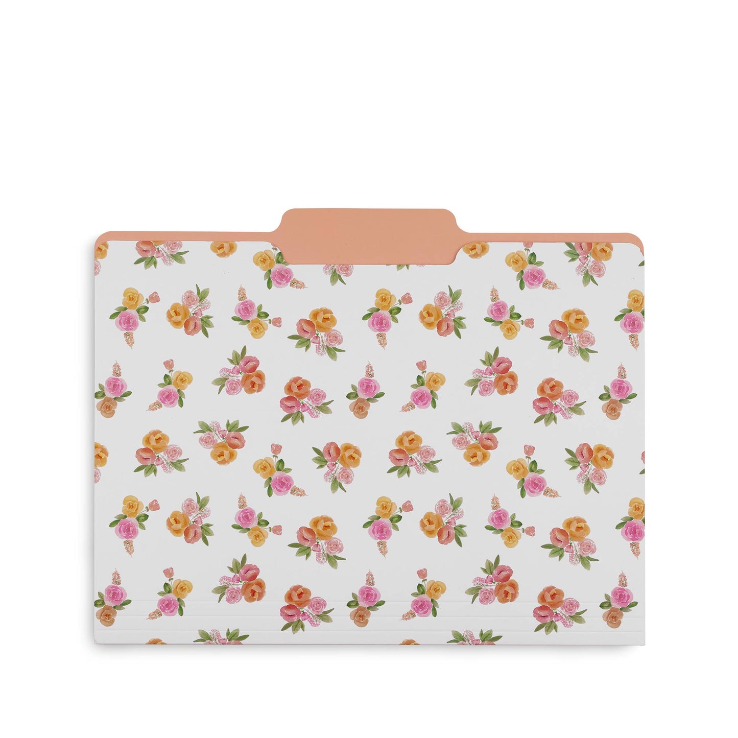 File Folders, Full Posey/Scattered Posey/Bold Floral