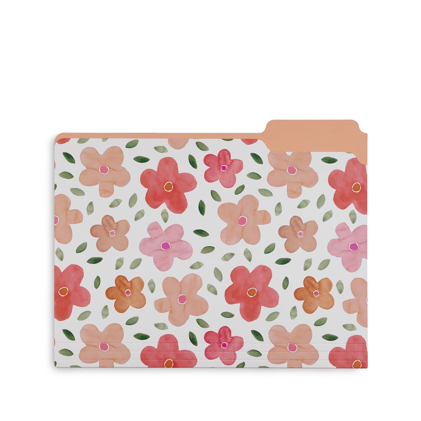 File Folders, Full Posey/Scattered Posey/Bold Floral