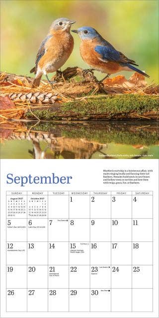 Audubon Bluebirds Mini Wall Calendar 2027