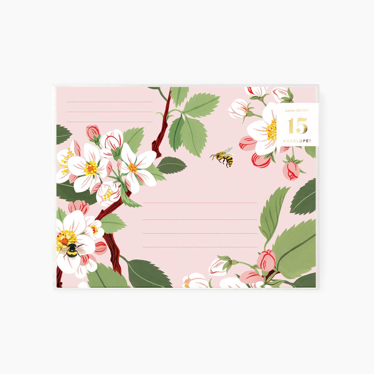 APPLE BLOSSOM | Boxed set of 15 envelopes
