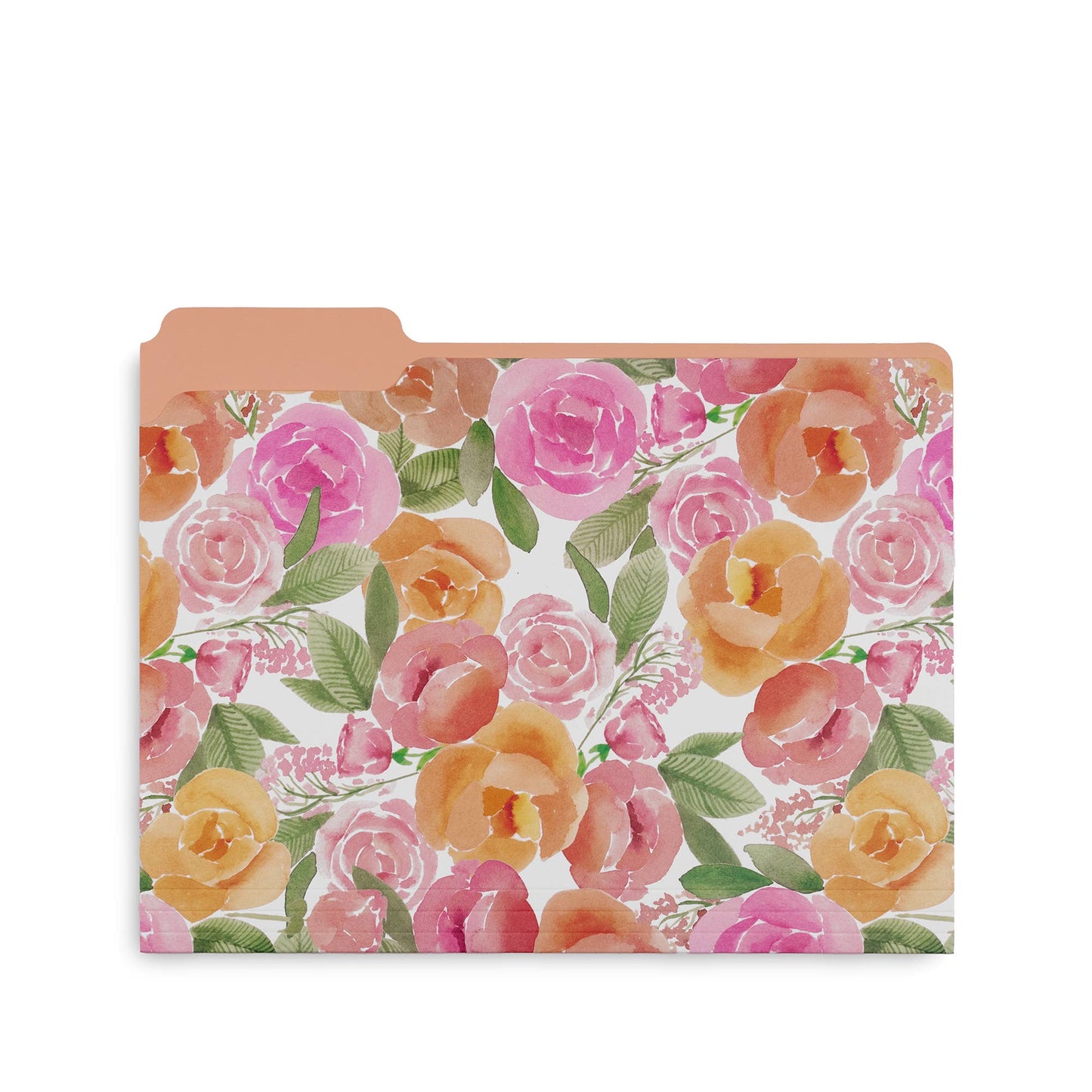 File Folders, Full Posey/Scattered Posey/Bold Floral
