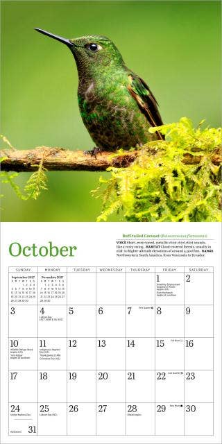 Audubon Hummingbirds Mini Wall Calendar 2027
