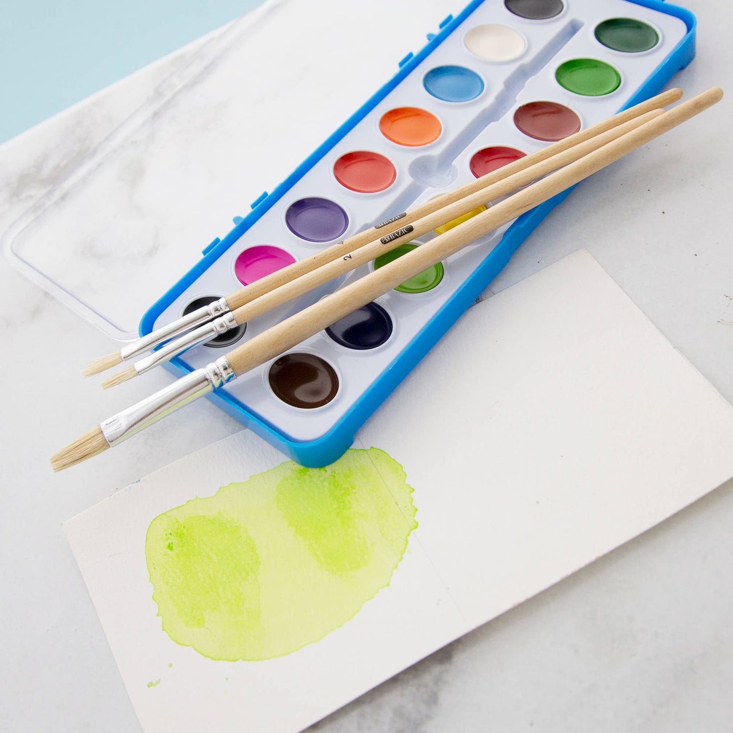 Paint Brush Flat Natural Bristle (9/Pack)