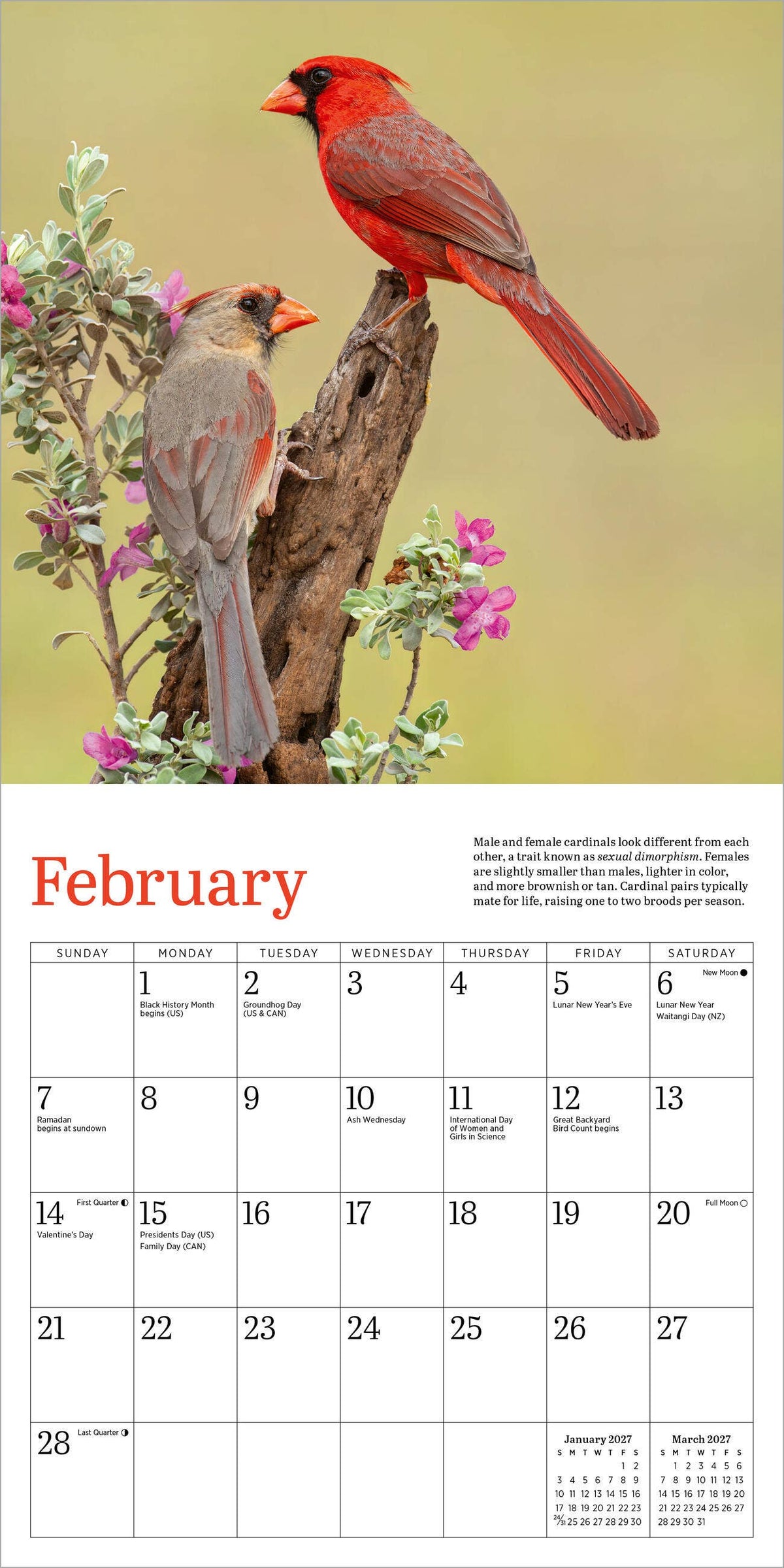 Audubon Cardinals Mini Wall Calendar 2027