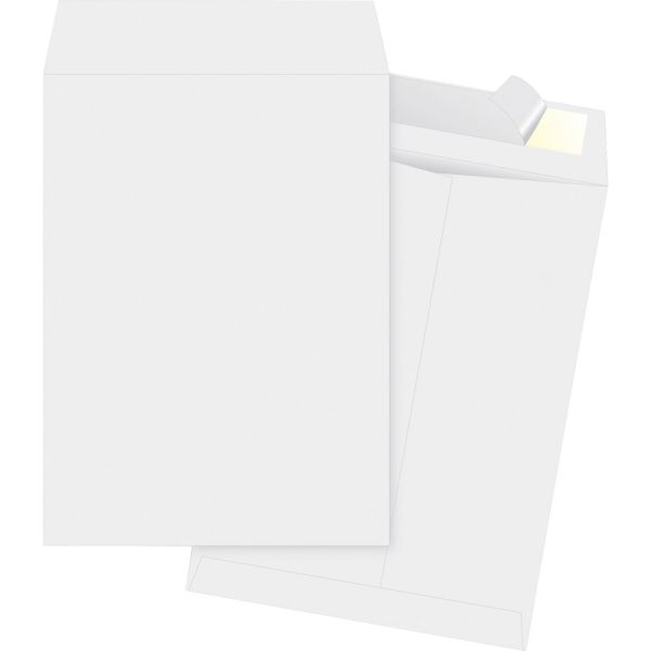 Survivor® 10 x 13 DuPont Tyvek Catalog Self-Sealing Envelope, Single