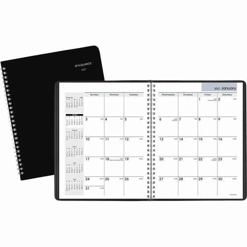 At-A-Glance My Month DayMinder