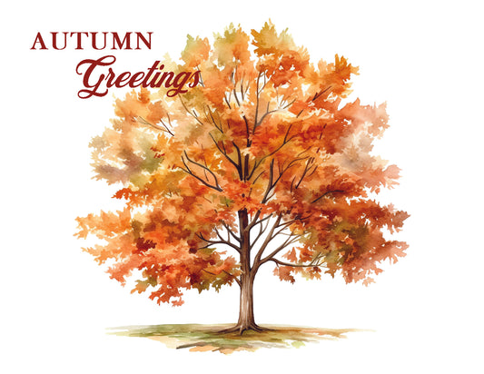 Autumn Splendor Note Cards