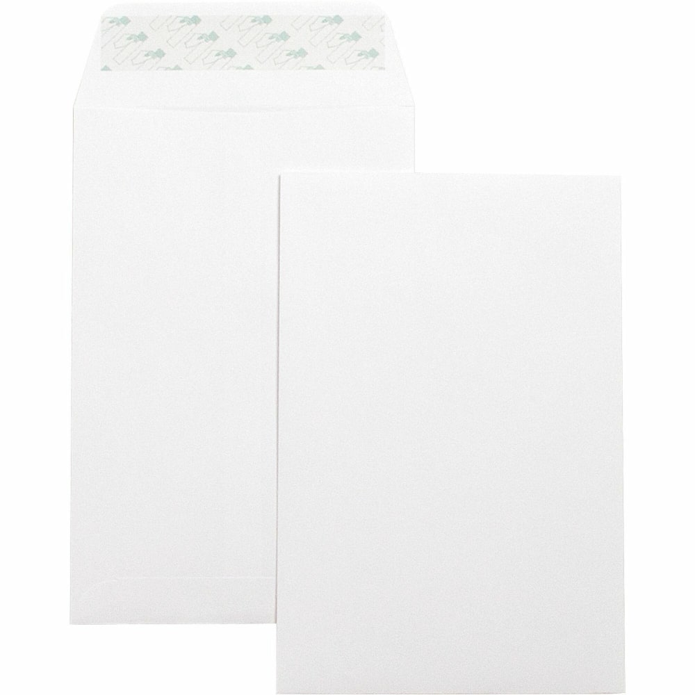 Business Source Self-Seal 6"x 9" Catalog Envelope, Single