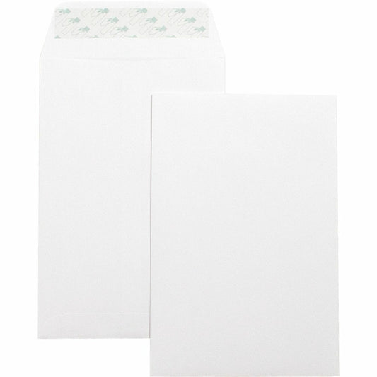 Business Source Self-Seal 6"x 9" Catalog Envelope, Single