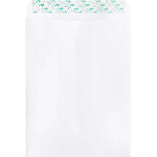 Business Source 9 x 12 Peel & Seal Catalog Envelope, Single
