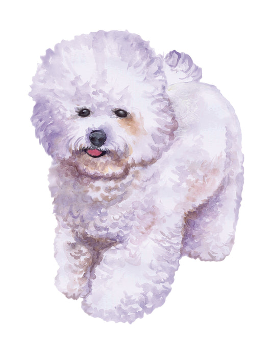 White dog with a watercolor effect on a white background