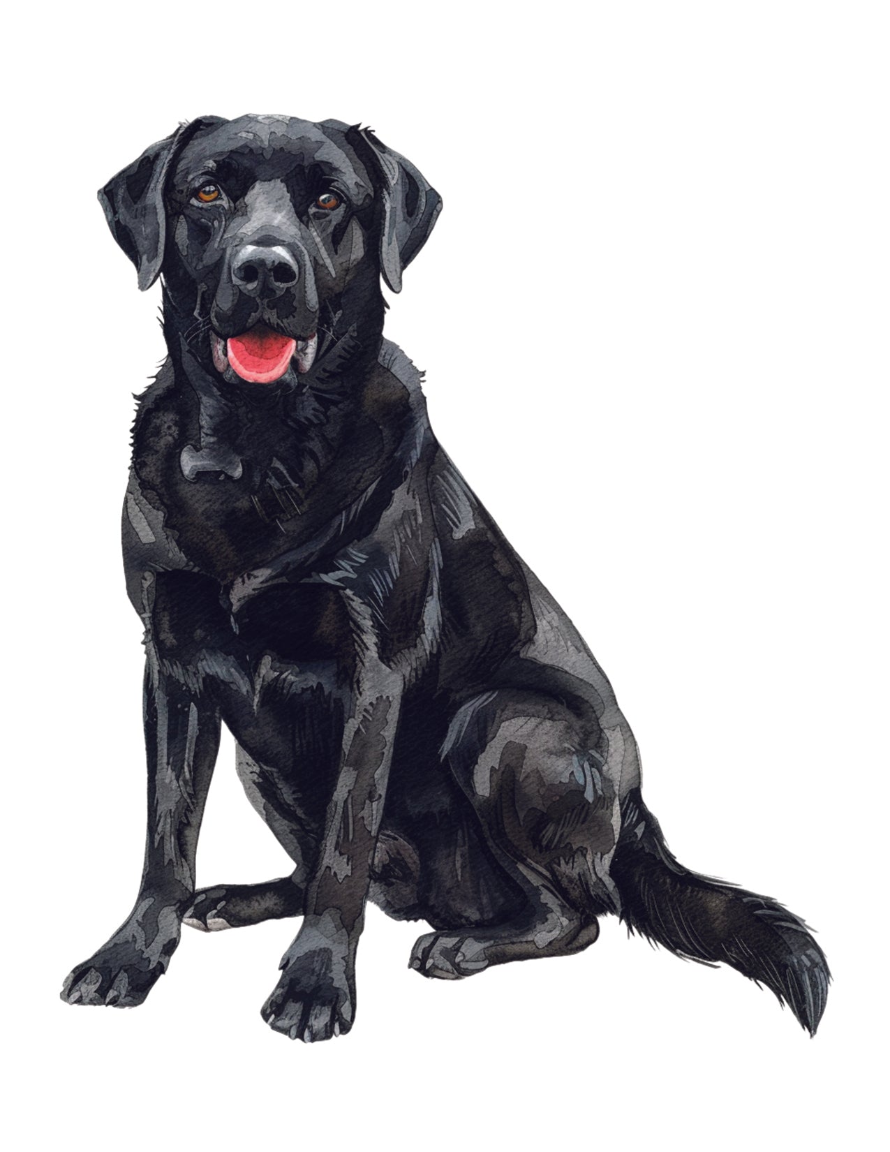Black dog sitting on a white background
