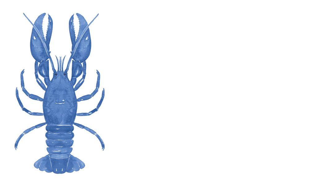Blue lobster illustration on a white background