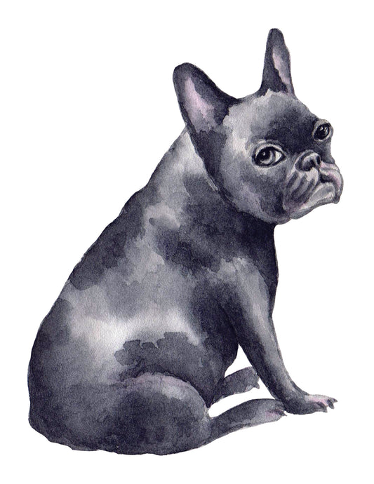 Artistic illustration of a sitting dog on a white background