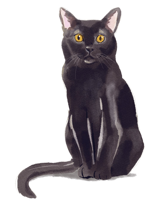 Illustration of a black cat with yellow eyes on a white background