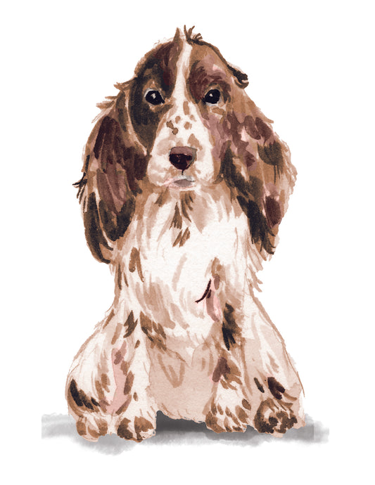 Illustration of a brown and white dog on a white background