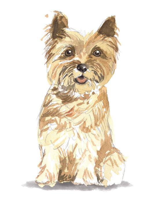 Illustration of a small dog sitting on a white background