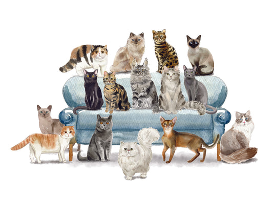 Illustration of various cats on a blue couch against a white background