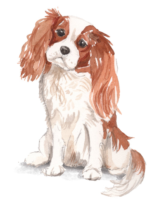 Illustration of a brown and white dog on a white background