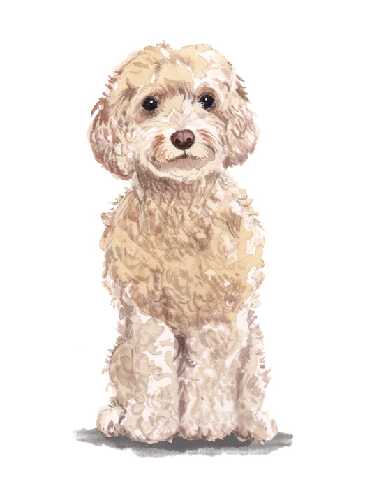 Illustration of a fluffy white dog sitting on a white background