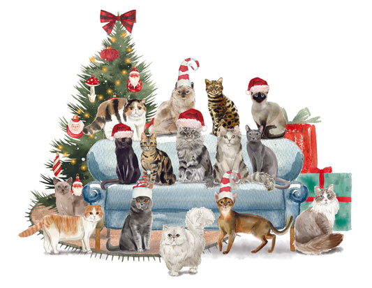 Christmas Cats on a Sofa