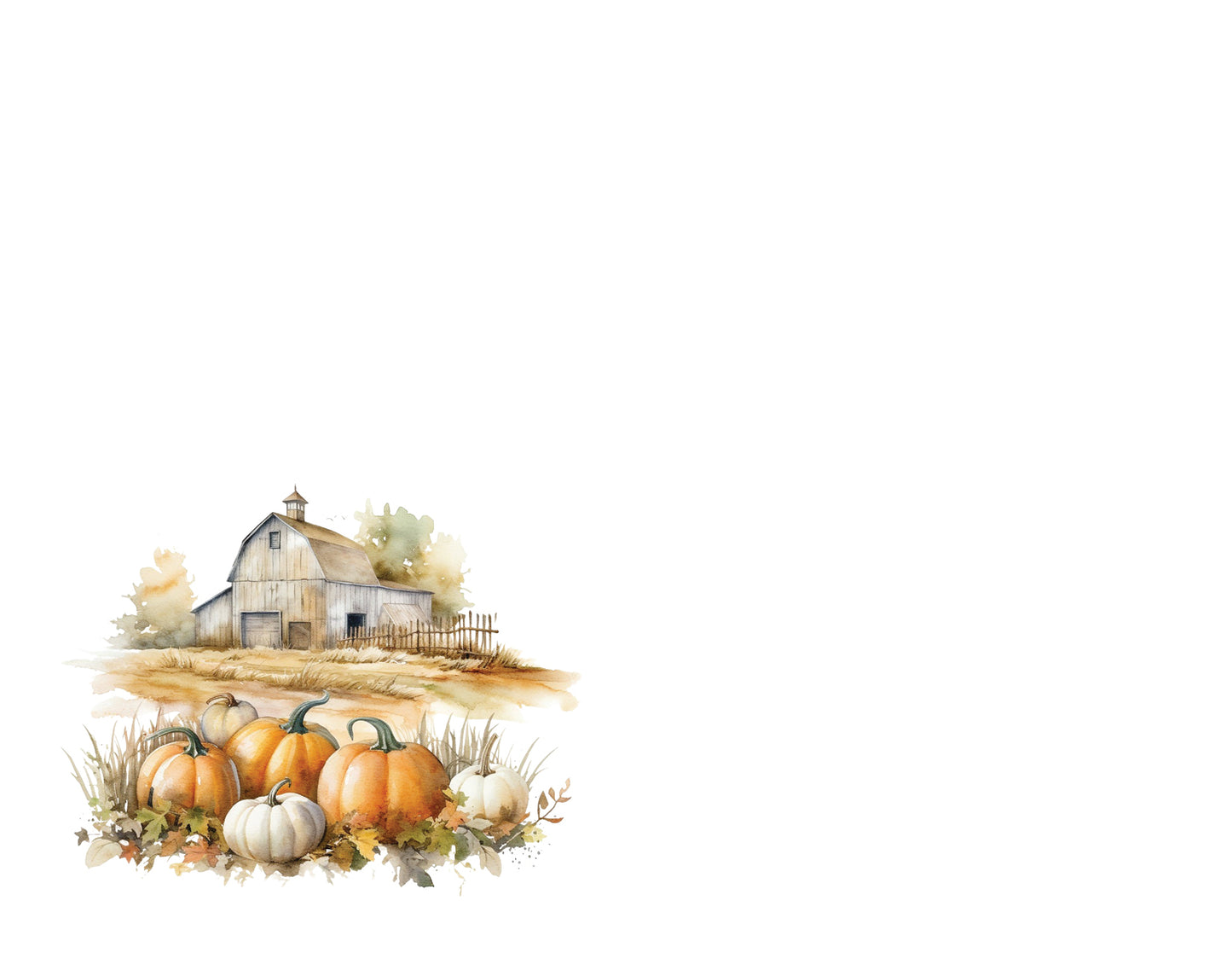 Sun parched barn with pumpkins