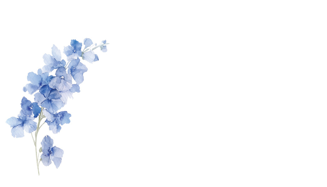 Blue flowers on a white background