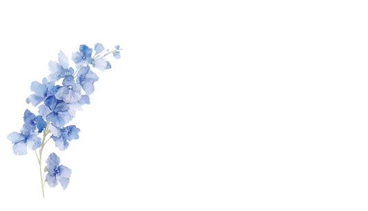 Blue flowers on a white background