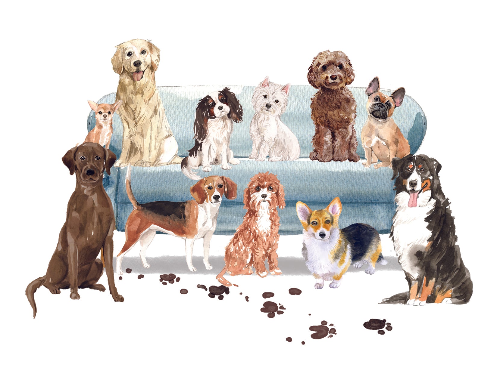 Illustration of various dogs on a couch with paw prints on the floor.