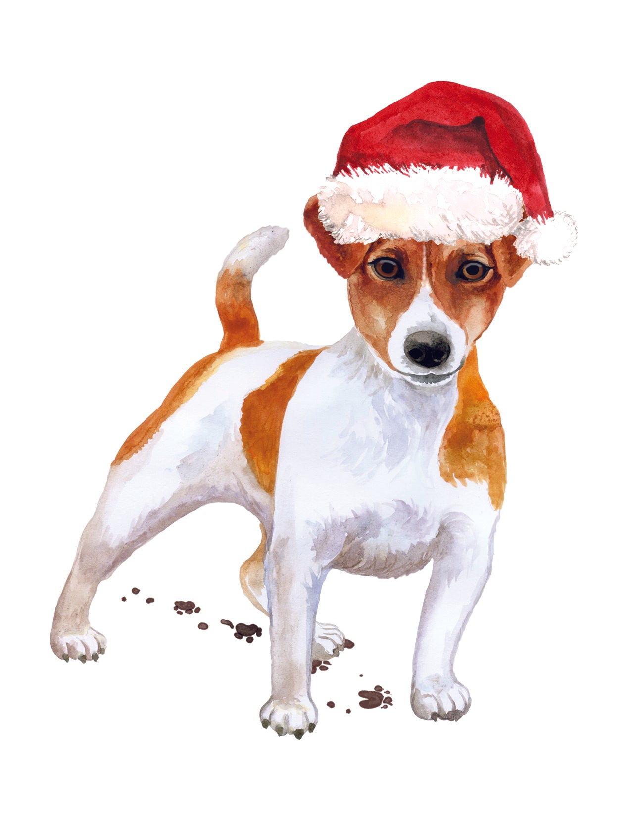 12 Dogs of Christmas