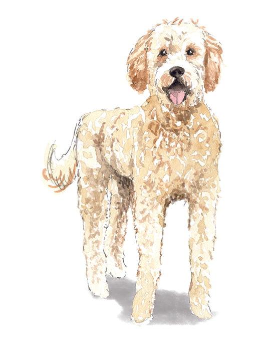 Illustration of a dog on a white background
