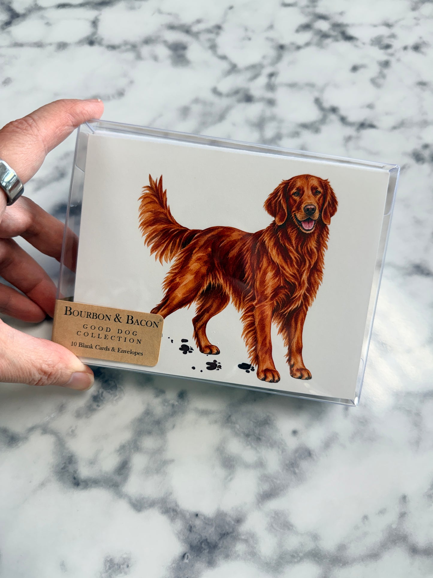 Red Field Retriever Note Cards Blank Boxed Set of 10
