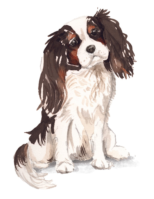 Illustration of a dog with brown and black markings on a white background